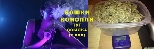 spice Арсеньев