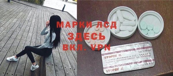 ECSTASY Алзамай